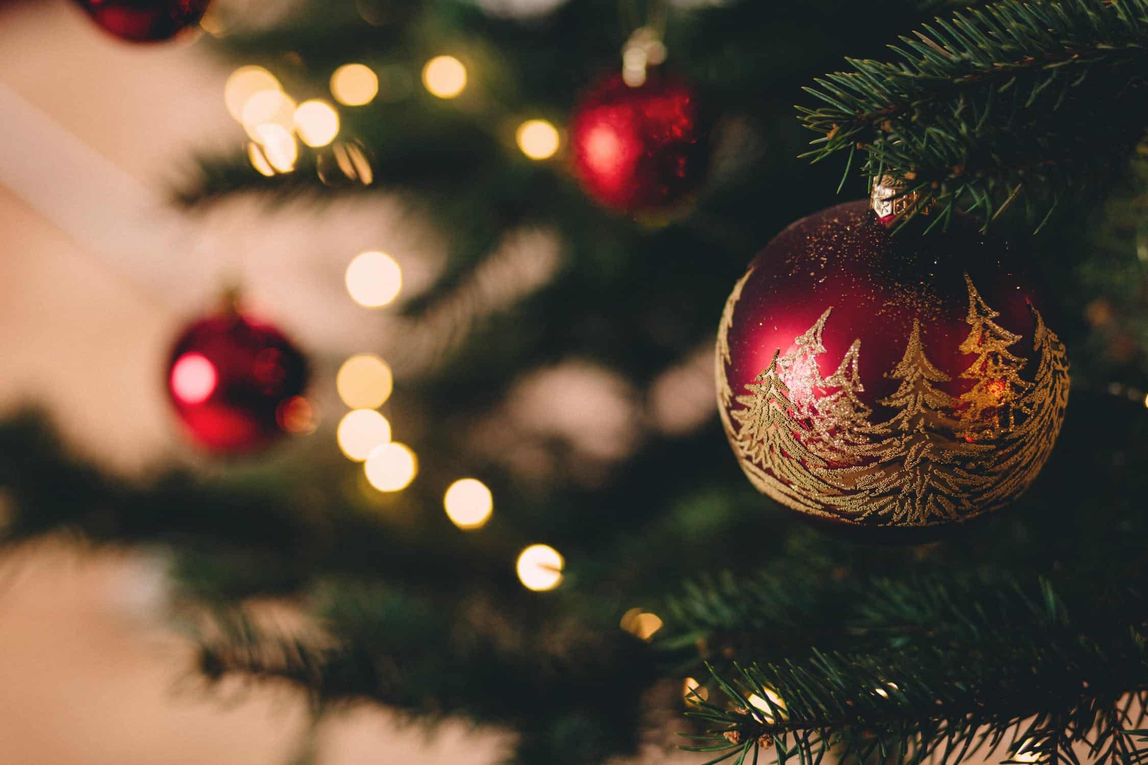 Cadeau de Noël Excellence Linguistique