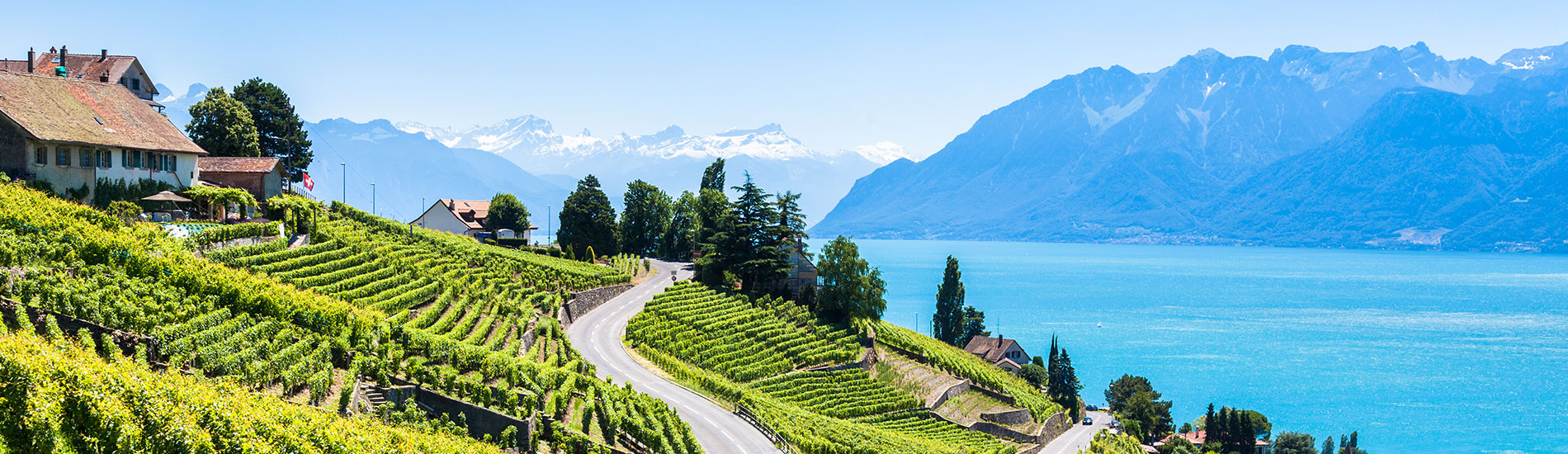 Terrasses de Lavaux, entre vignes et lac Léman, Suisse