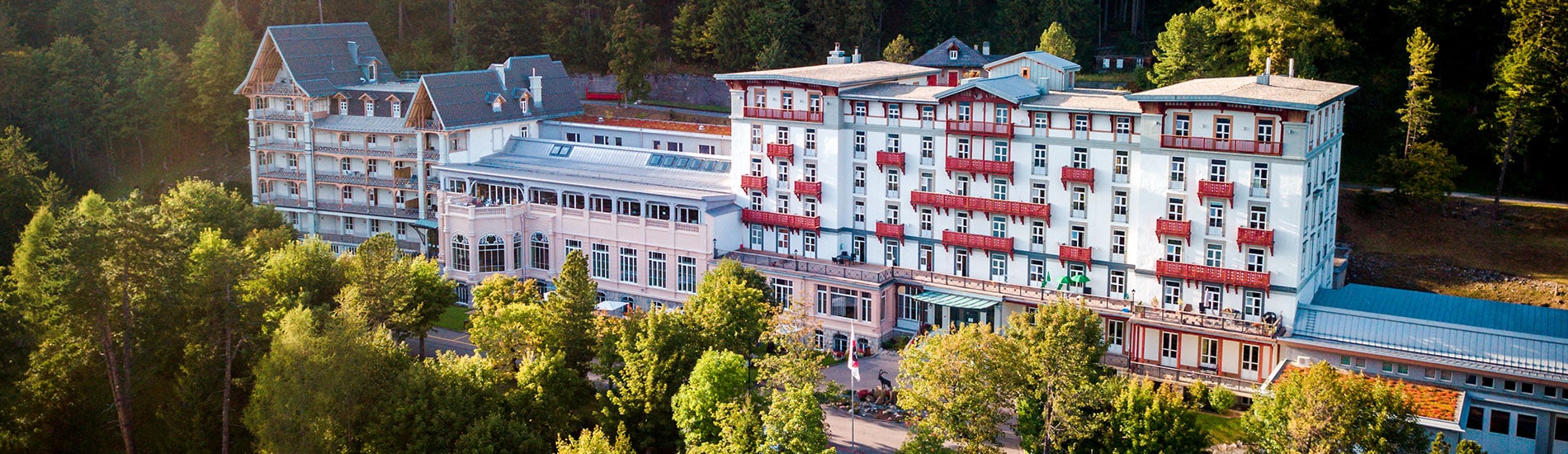 Séjour linguistique Camp d’été international dans les Alpes suisses