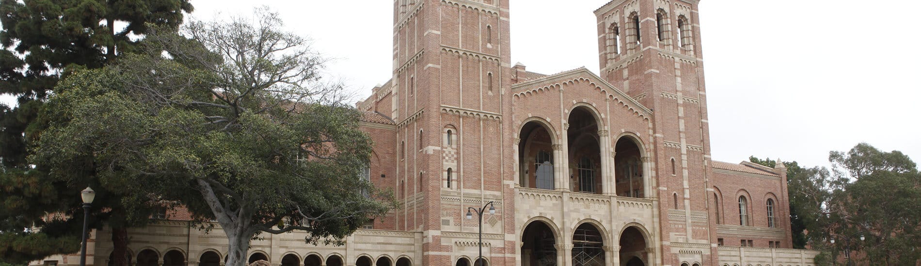 Séjour linguistique Los Angeles – UCLA Campus (été)