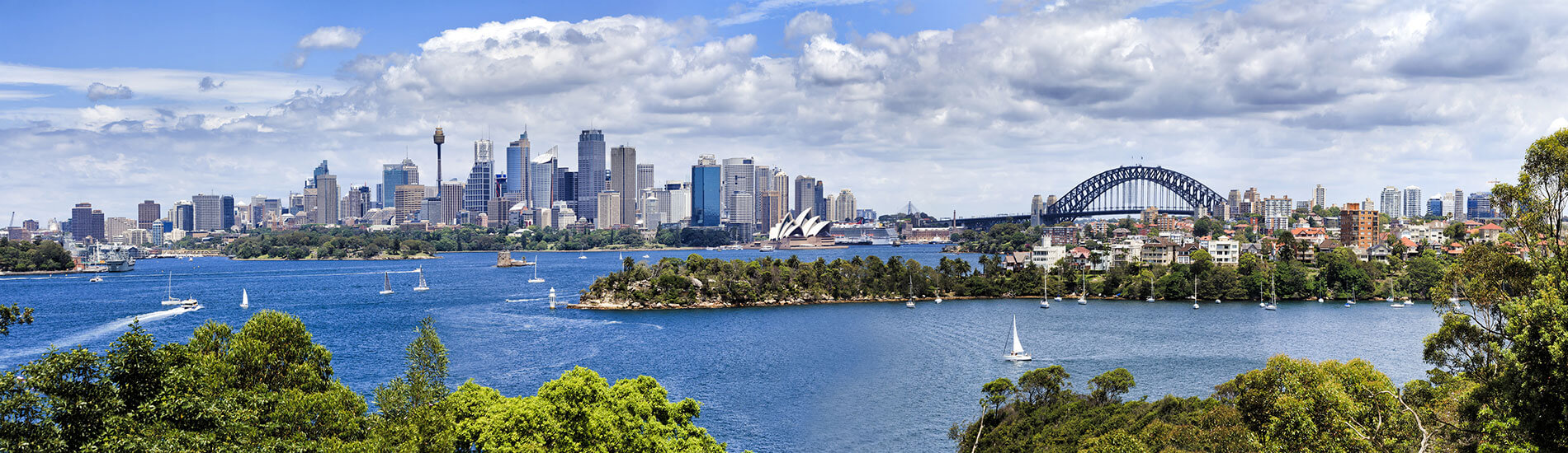 Baie de Sydney à découvrir lors de votre séjour linguistique en Australie