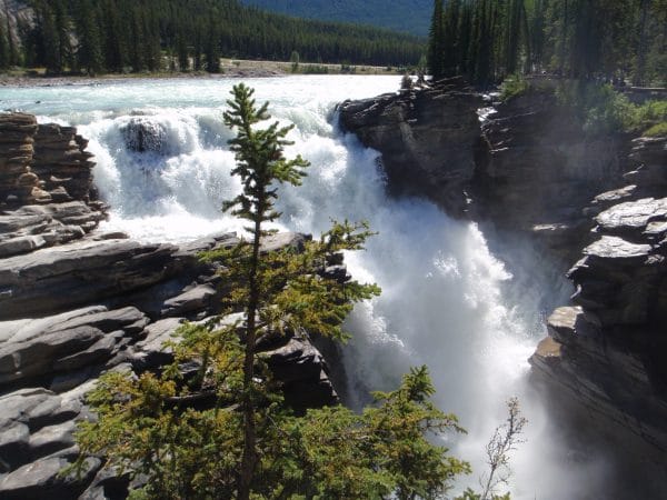 Les magnifiques chutes d’Athabasca, dans le parc national Jasper, à découvrir durant le summer camp à Calgary