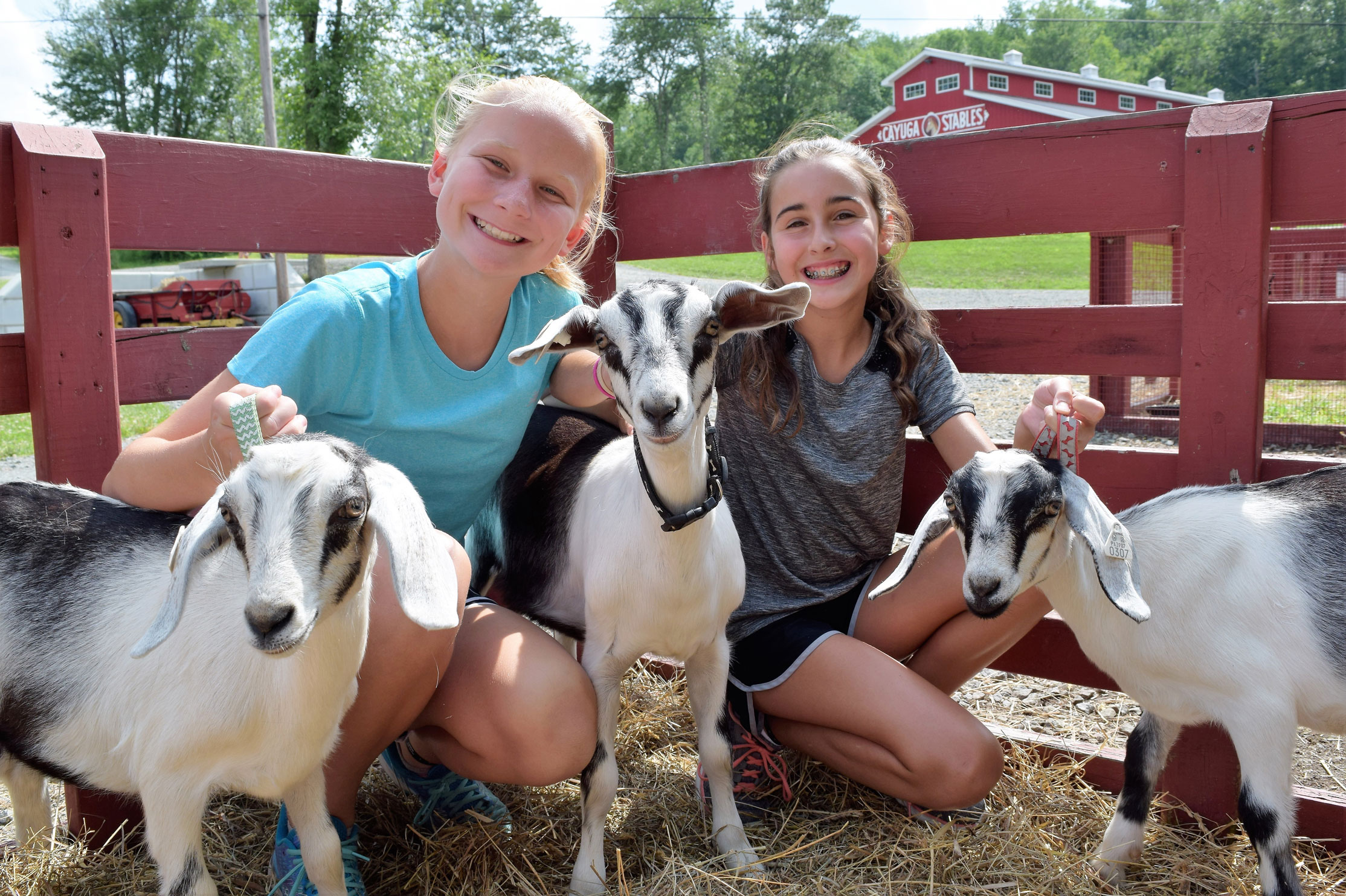 jeunes filles s'occupant des animaux du summer camp Pocono aux USA