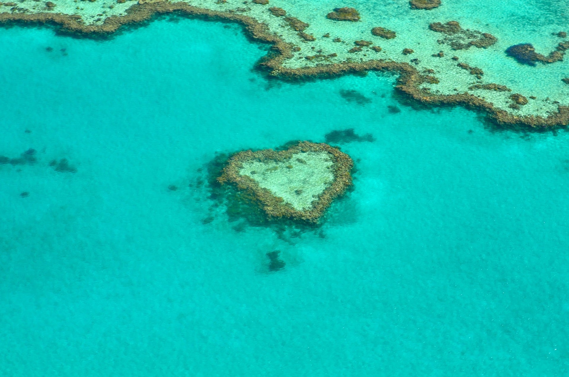 Barrière de Corail à découvrir lors de votre séjour linguistique en Australie