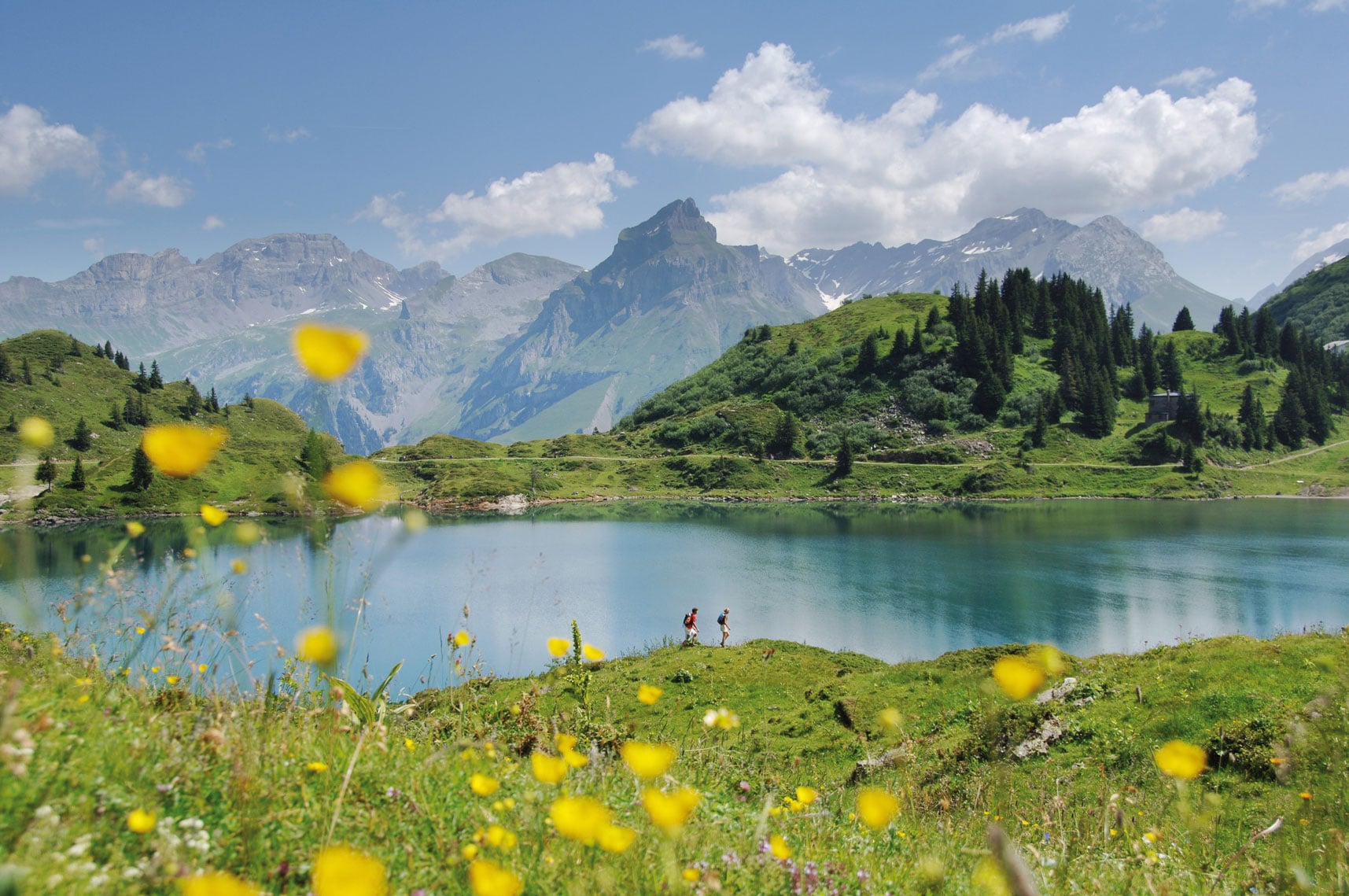 Paysage Suisse au printemps avec lac et montagnes