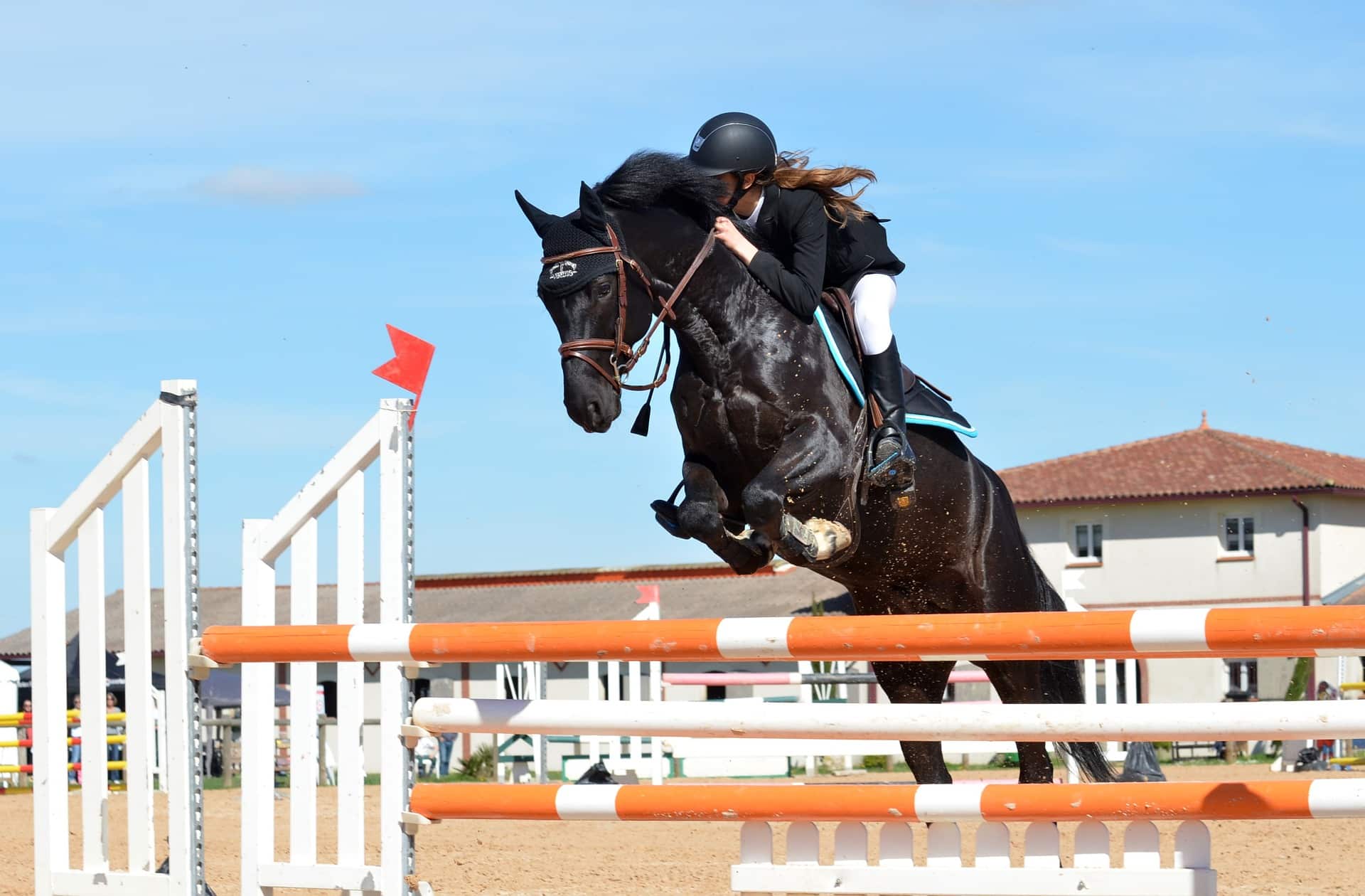 Jeune cavalière et son cheval durant une course d'obstacles
