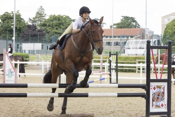 Jeune adolescente en course d'obstacle avec son cheval