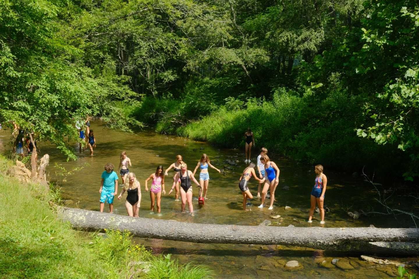 enfants se baignant dans les criques situées sur le west virginia summer camp