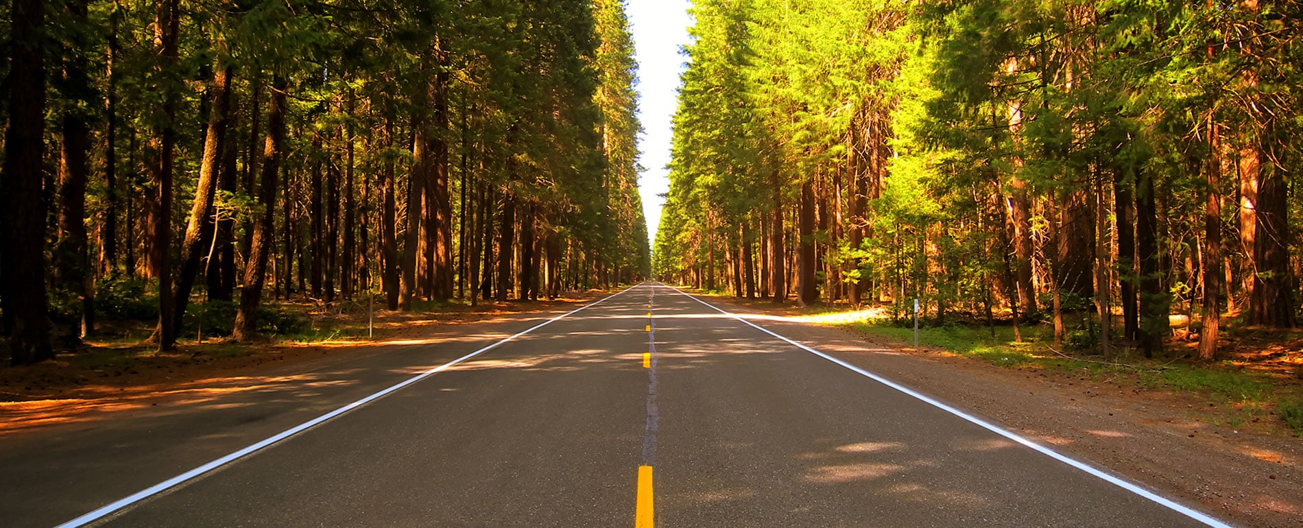 Road trip pour adolescents dans l’Est nord-américain